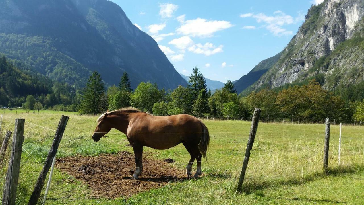 Apartmaji Stari Kovac Bovec Eksteriør bilde